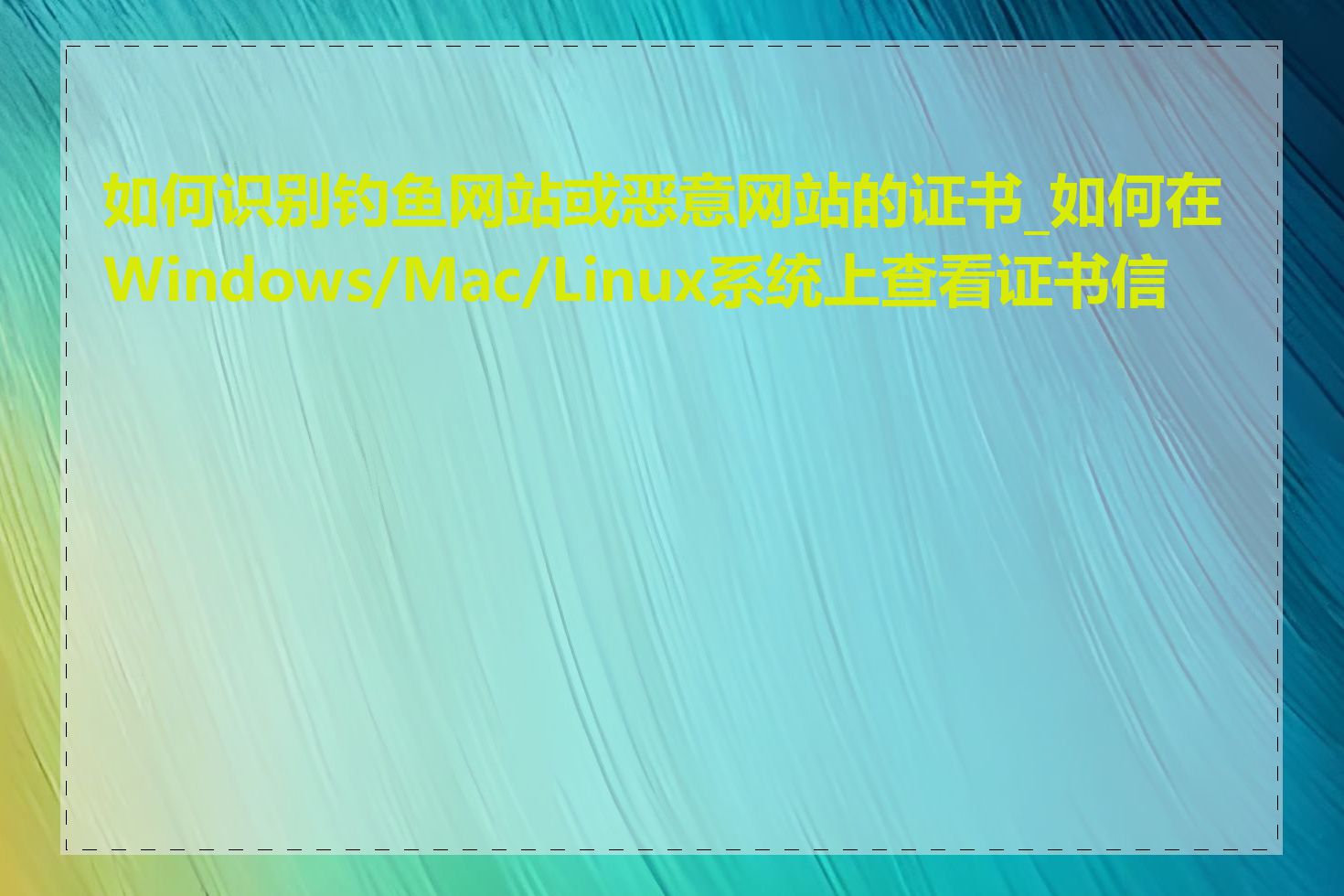 如何识别钓鱼网站或恶意网站的证书_如何在Windows/Mac/Linux系统上查看证书信息