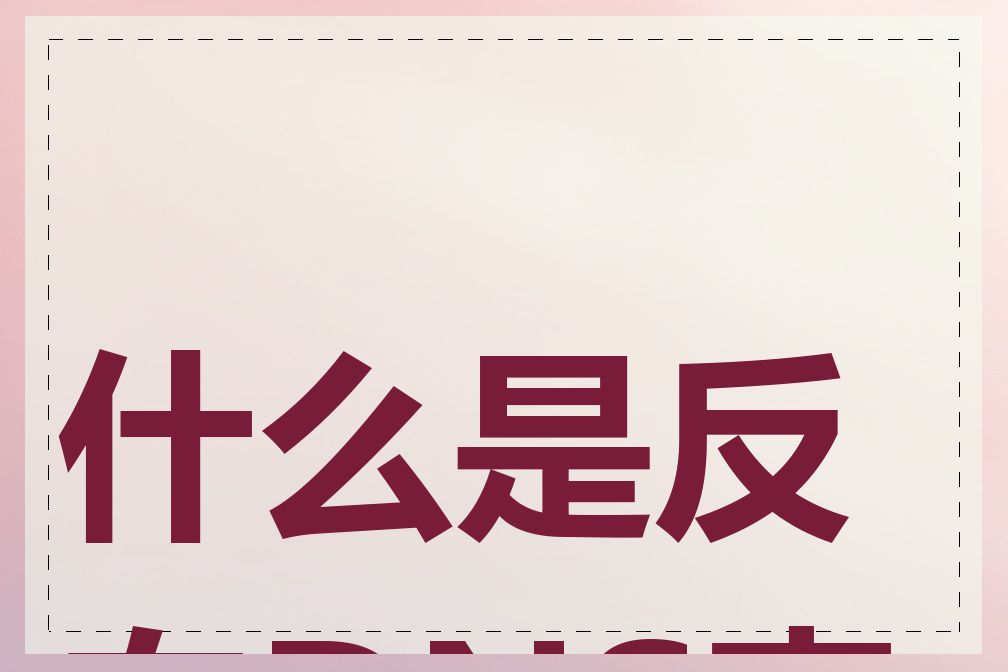什么是反向DNS查询