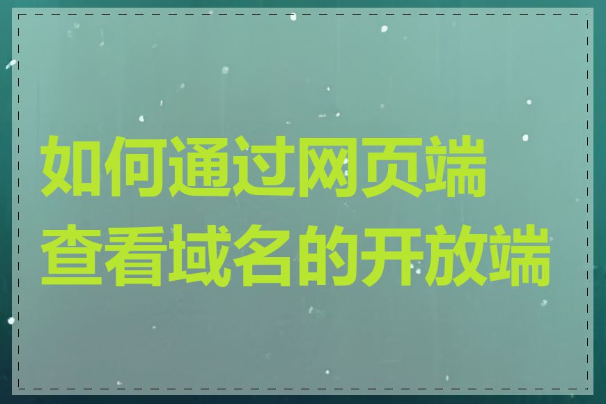 如何通过网页端查看域名的开放端口