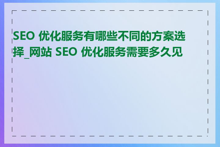 SEO 优化服务有哪些不同的方案选择_网站 SEO 优化服务需要多久见效