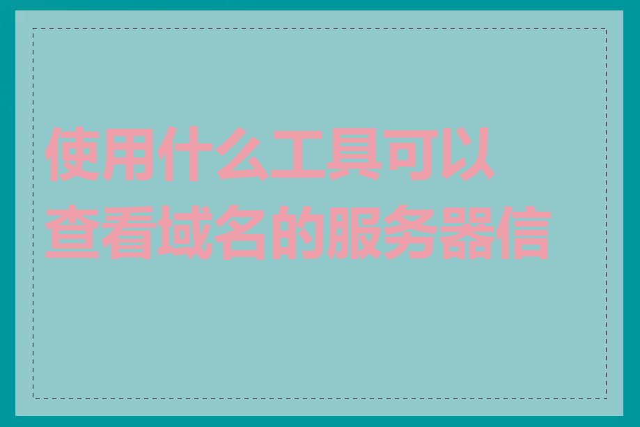 使用什么工具可以查看域名的服务器信息