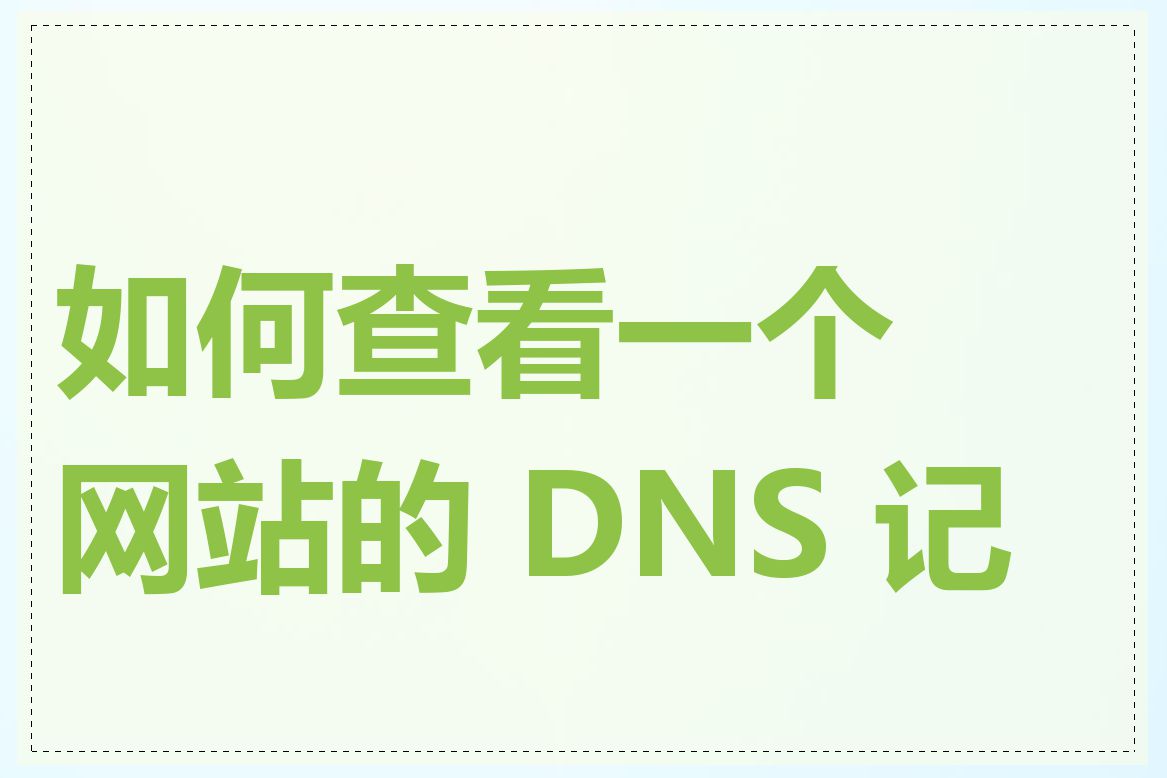 如何查看一个网站的 DNS 记录