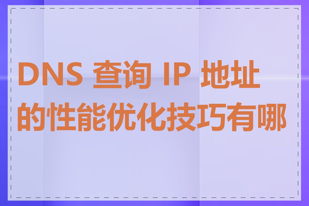 DNS 查询 IP 地址的性能优化技巧有哪些
