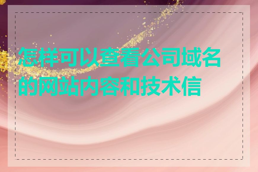 怎样可以查看公司域名的网站内容和技术信息