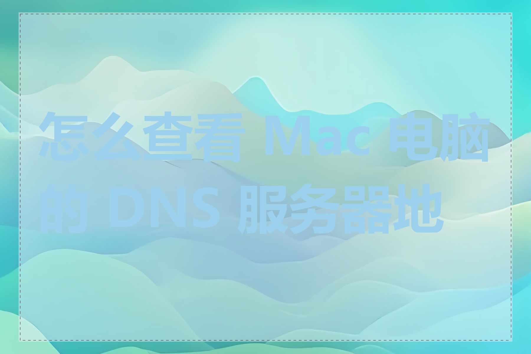 怎么查看 Mac 电脑的 DNS 服务器地址