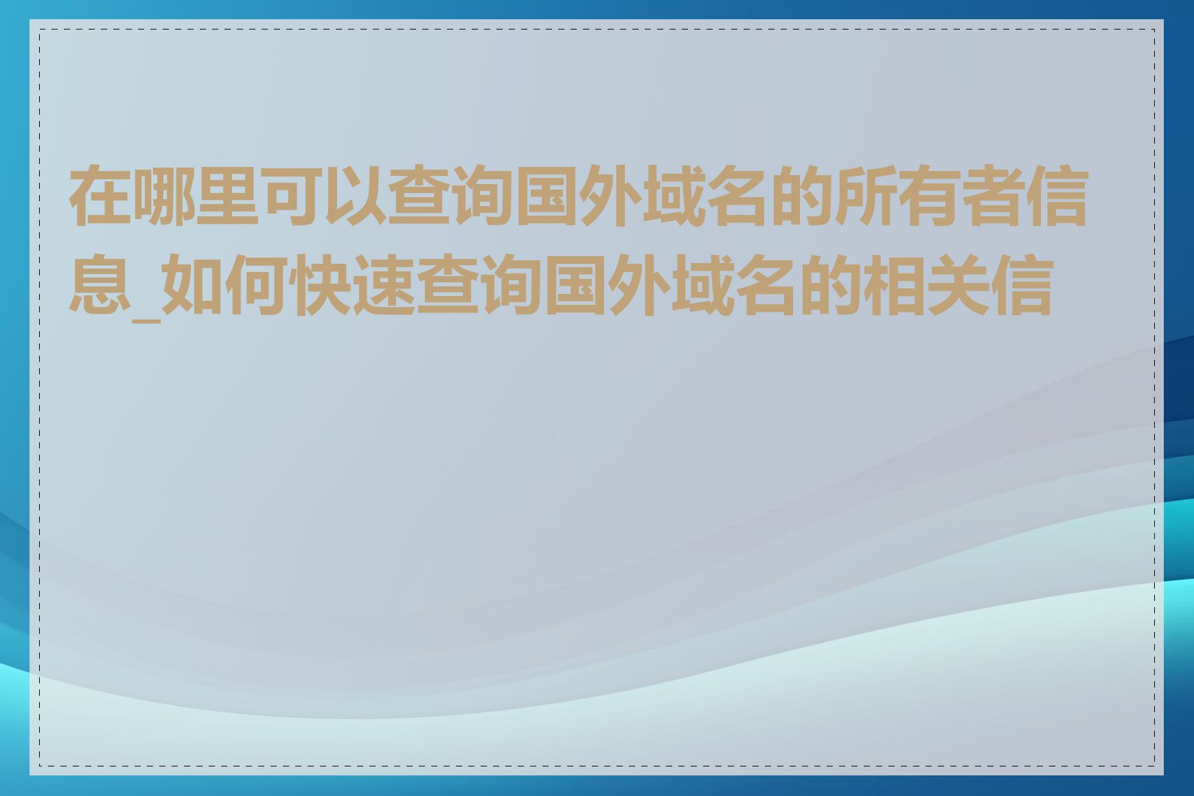 在哪里可以查询国外域名的所有者信息_如何快速查询国外域名的相关信息