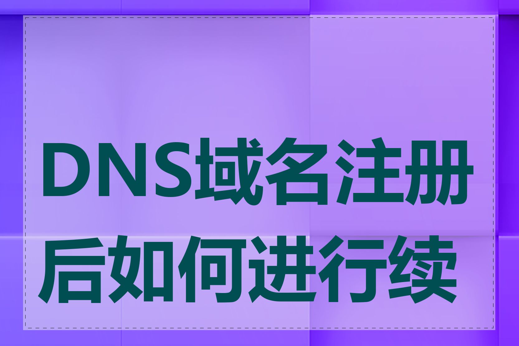 DNS域名注册后如何进行续费