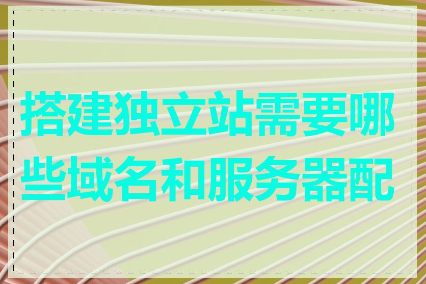 搭建独立站需要哪些域名和服务器配置