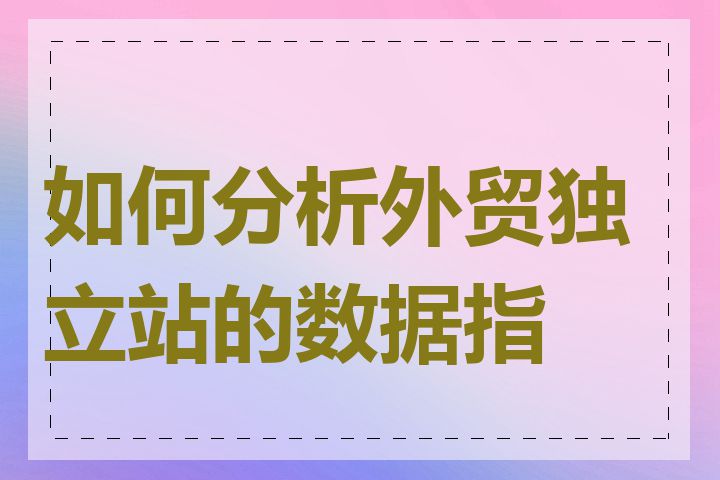 如何分析外贸独立站的数据指标