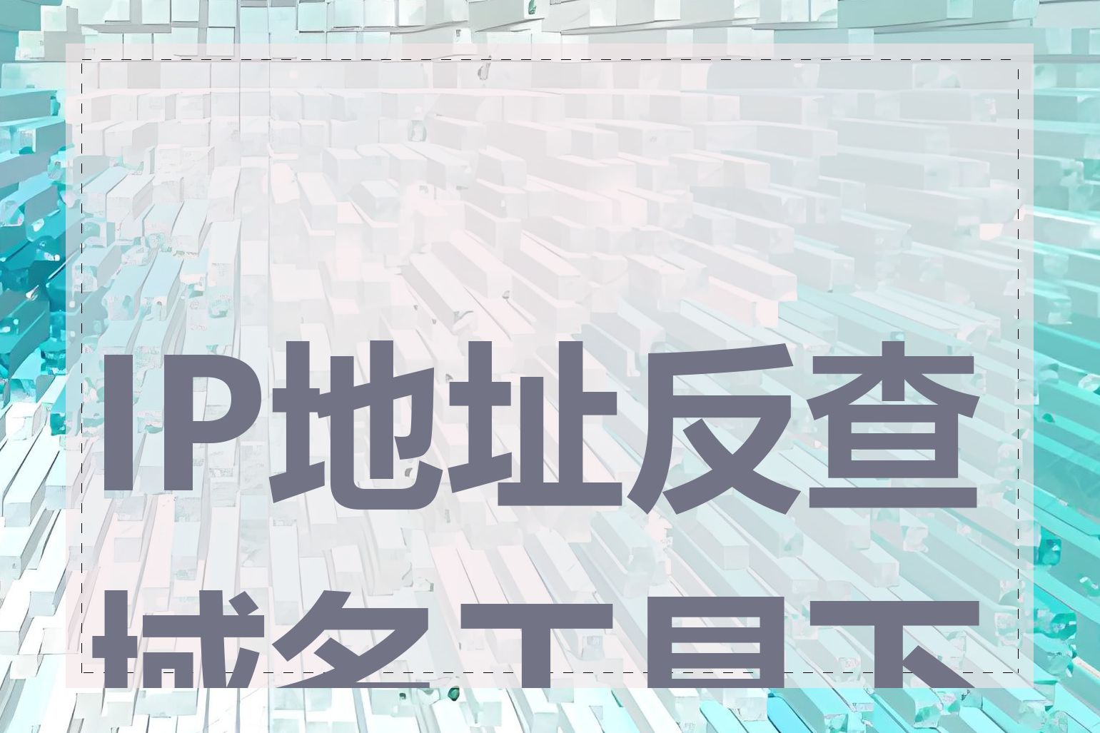 IP地址反查域名工具下载