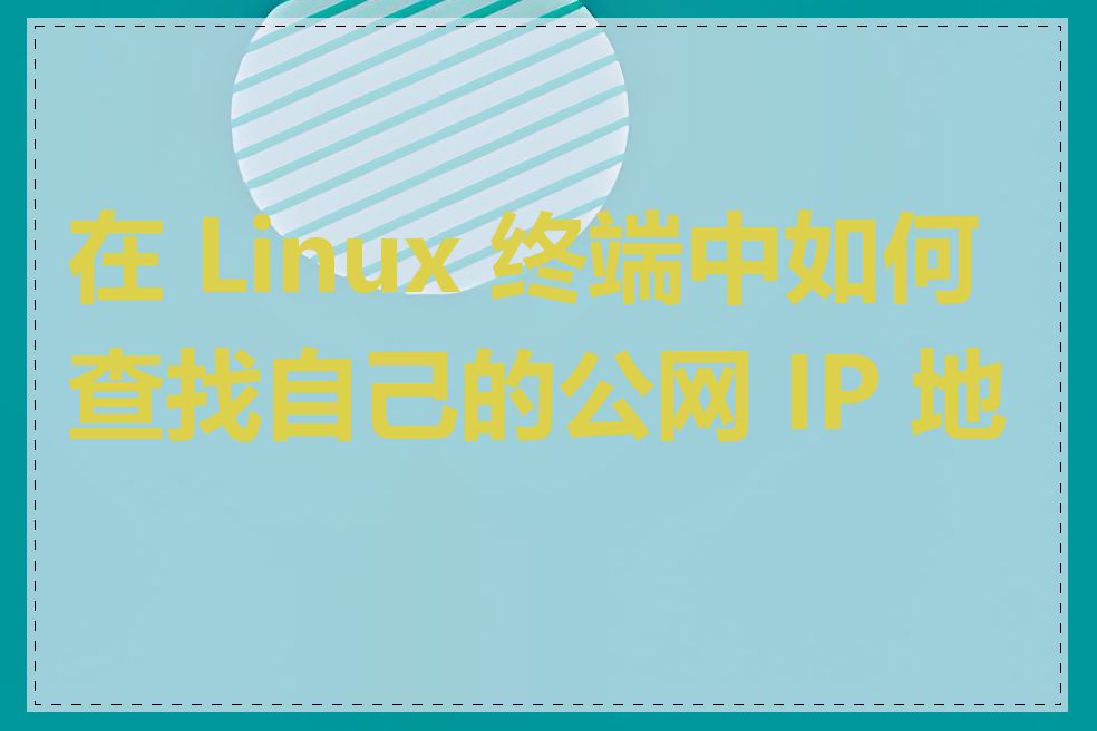 在 Linux 终端中如何查找自己的公网 IP 地址