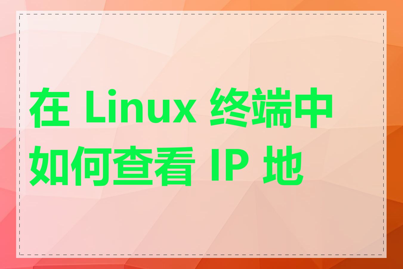在 Linux 终端中如何查看 IP 地址