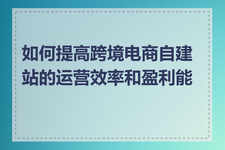 如何提高跨境电商自建站的运营效率和盈利能力