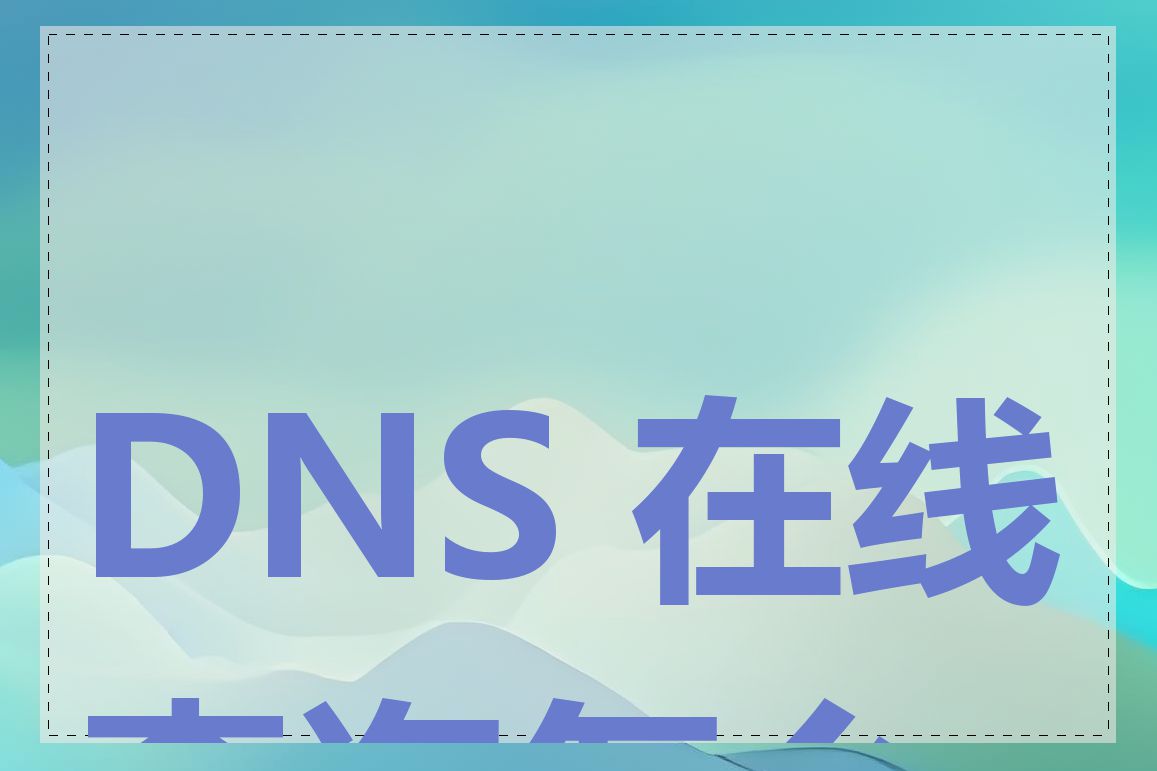 DNS 在线查询怎么用