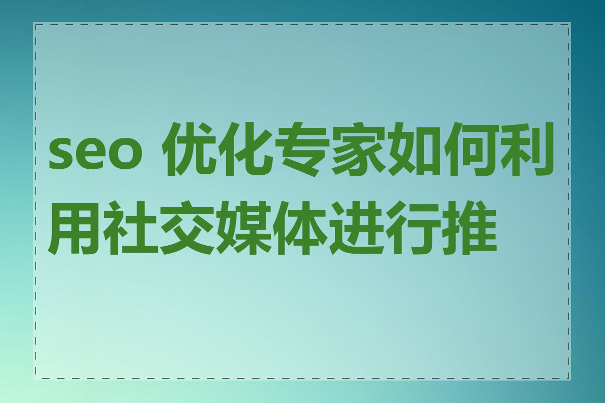 seo 优化专家如何利用社交媒体进行推广