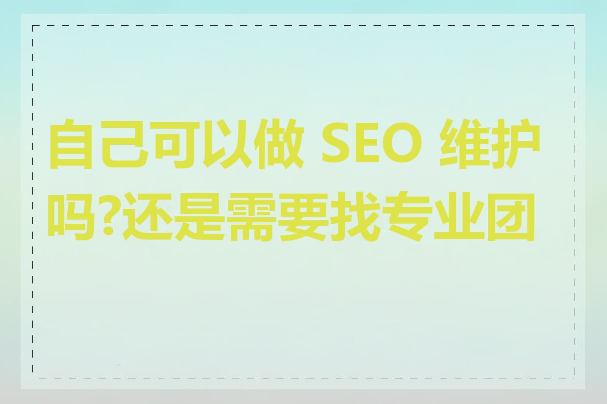 自己可以做 SEO 维护吗?还是需要找专业团队