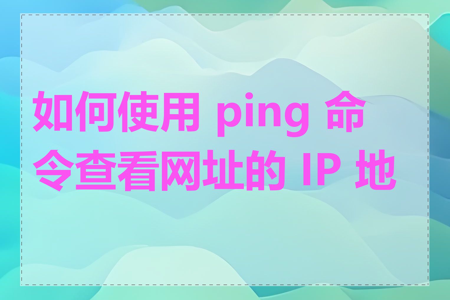 如何使用 ping 命令查看网址的 IP 地址