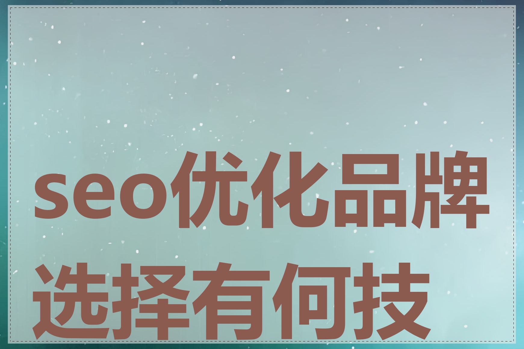 seo优化品牌选择有何技巧