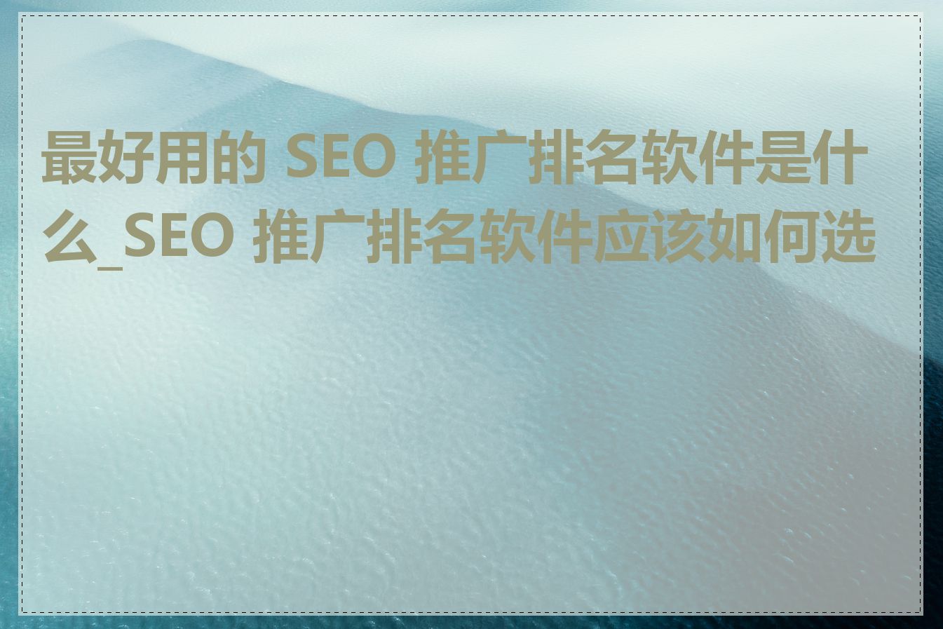 最好用的 SEO 推广排名软件是什么_SEO 推广排名软件应该如何选择