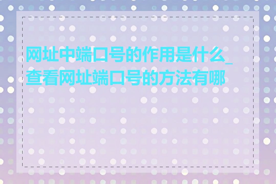 网址中端口号的作用是什么_查看网址端口号的方法有哪些