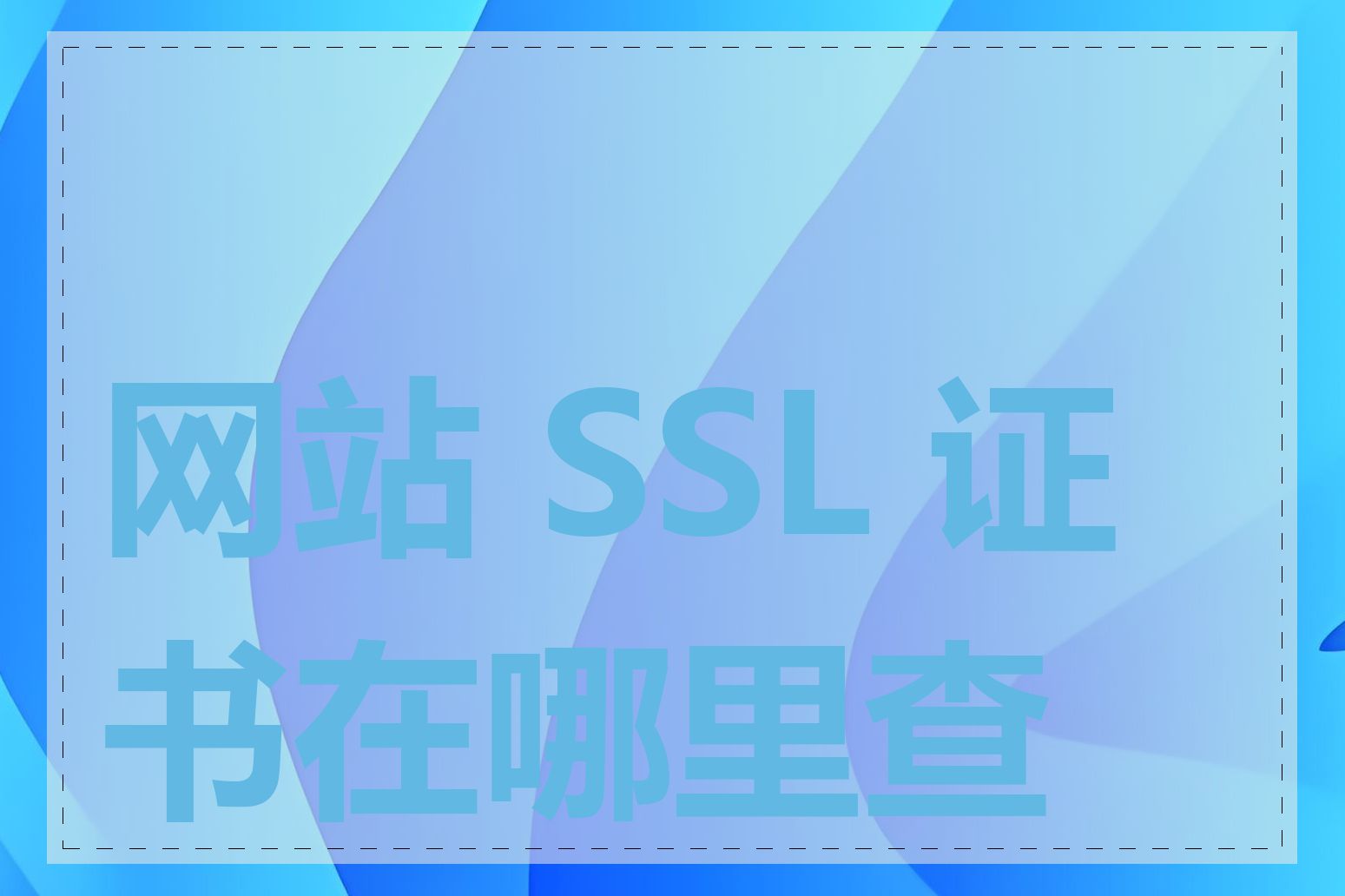 网站 SSL 证书在哪里查看