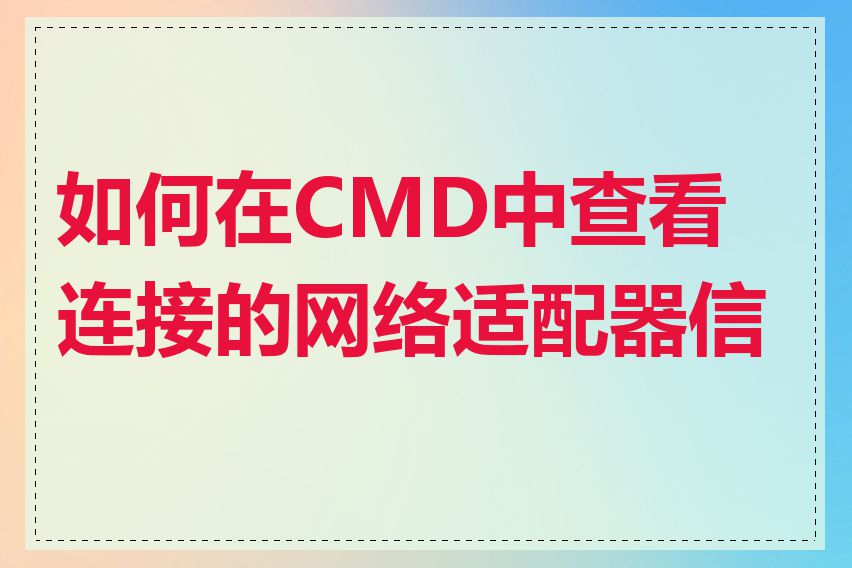 如何在CMD中查看连接的网络适配器信息