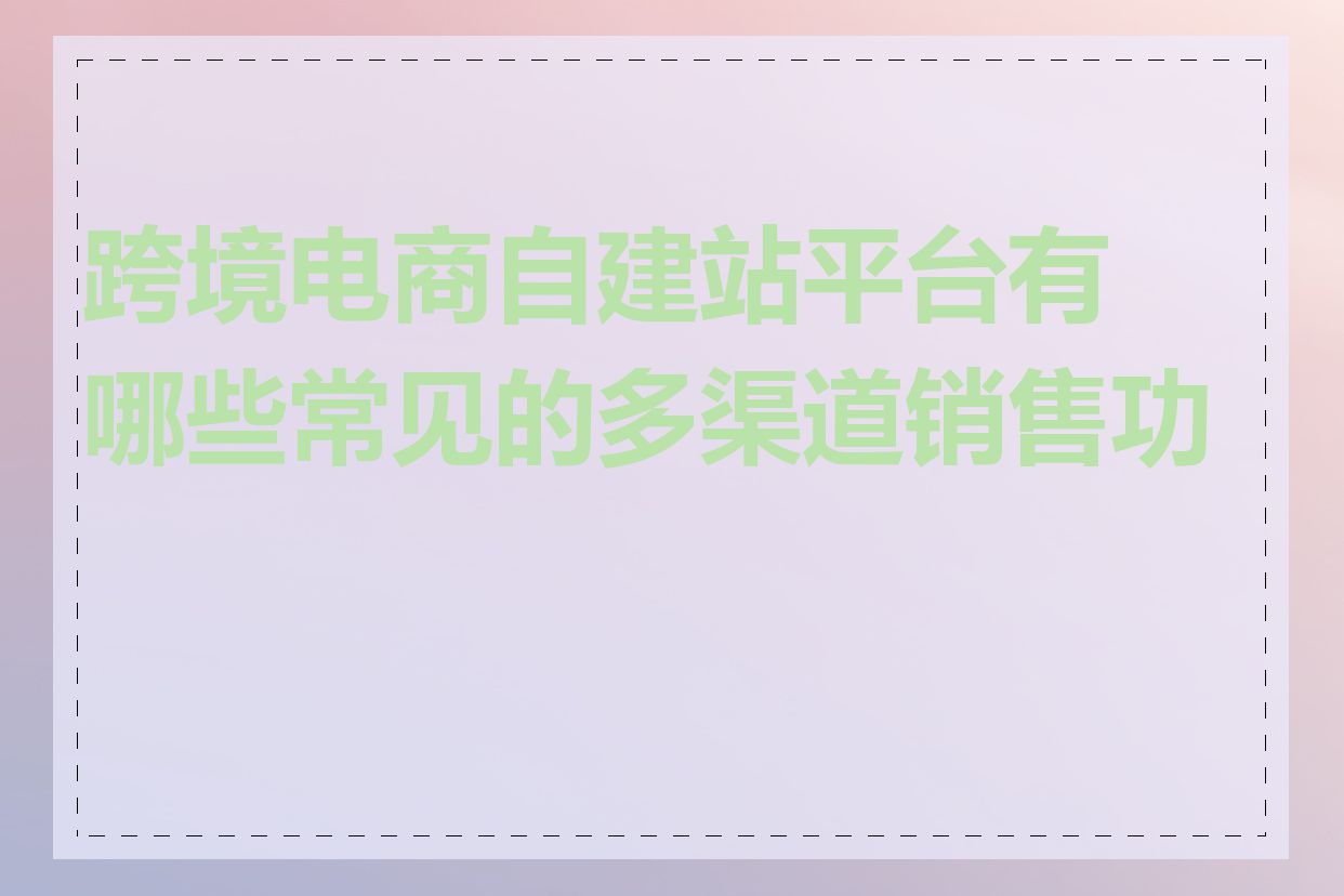 跨境电商自建站平台有哪些常见的多渠道销售功能