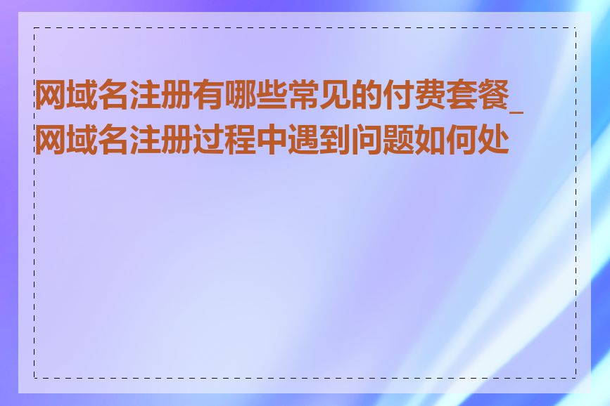 网域名注册有哪些常见的付费套餐_网域名注册过程中遇到问题如何处理