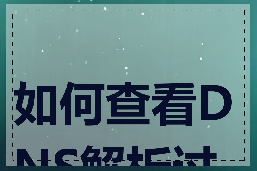 如何查看DNS解析过程