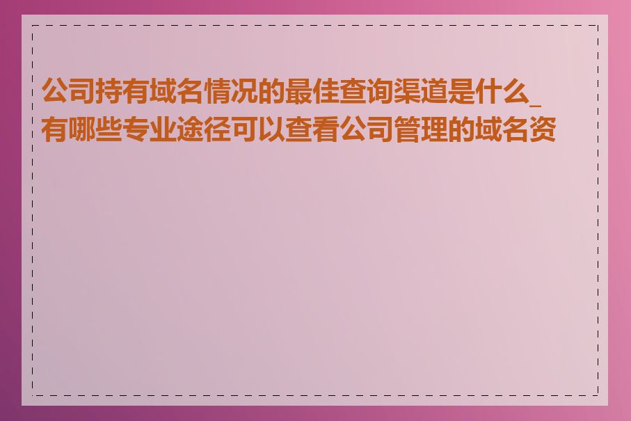 公司持有域名情况的最佳查询渠道是什么_有哪些专业途径可以查看公司管理的域名资产