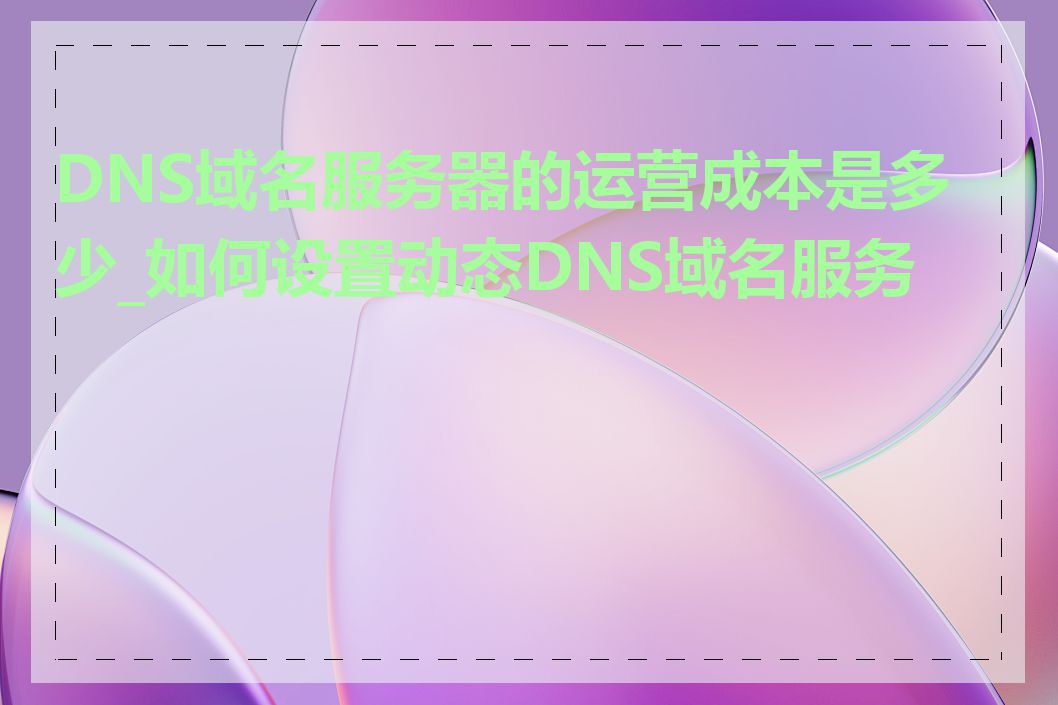 DNS域名服务器的运营成本是多少_如何设置动态DNS域名服务器