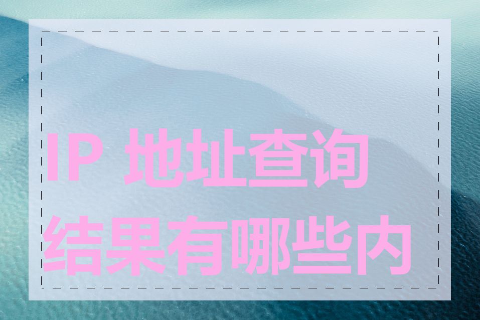 IP 地址查询结果有哪些内容