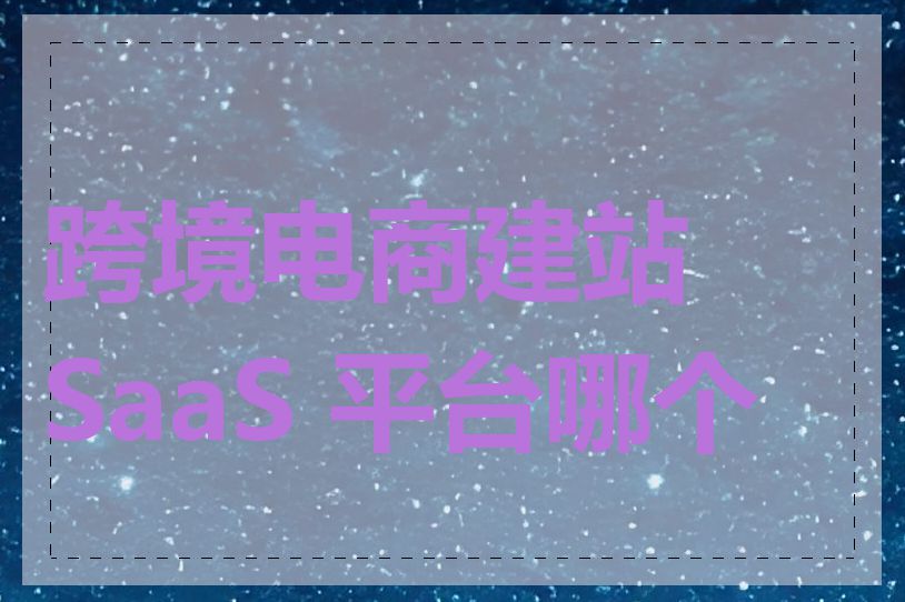 跨境电商建站 SaaS 平台哪个好