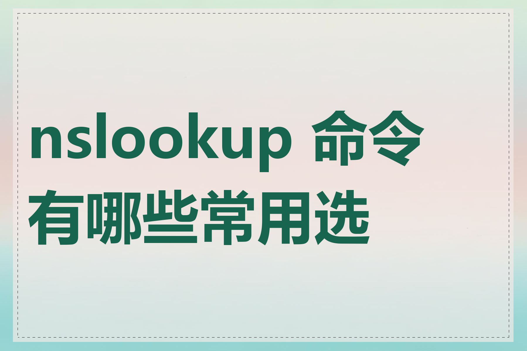 nslookup 命令有哪些常用选项