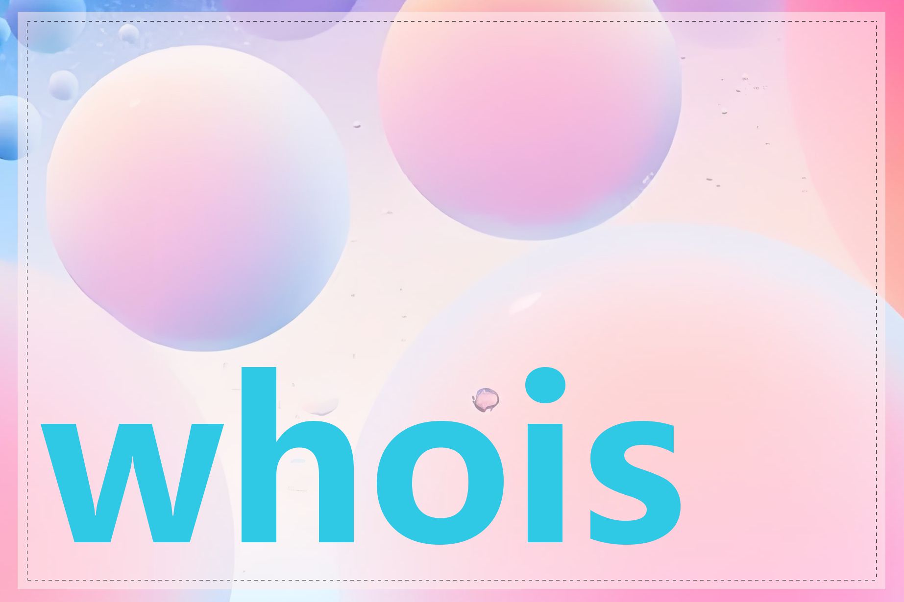 whois网址 查询
