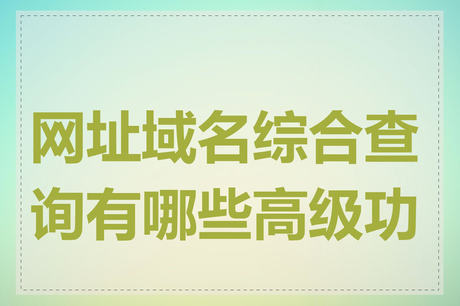 网址域名综合查询有哪些高级功能