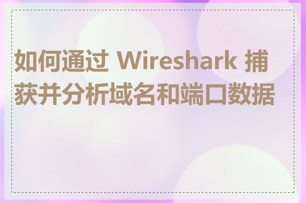如何通过 Wireshark 捕获并分析域名和端口数据包
