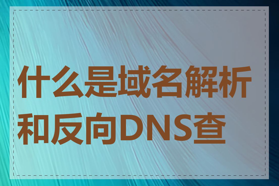 什么是域名解析和反向DNS查询