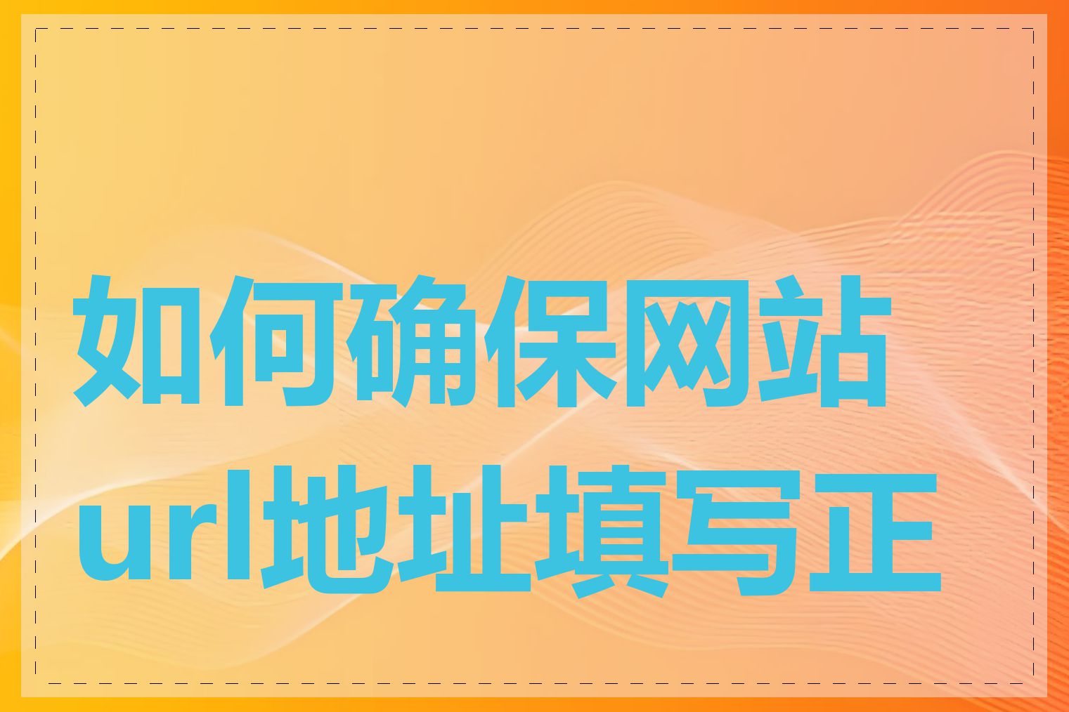 如何确保网站url地址填写正确