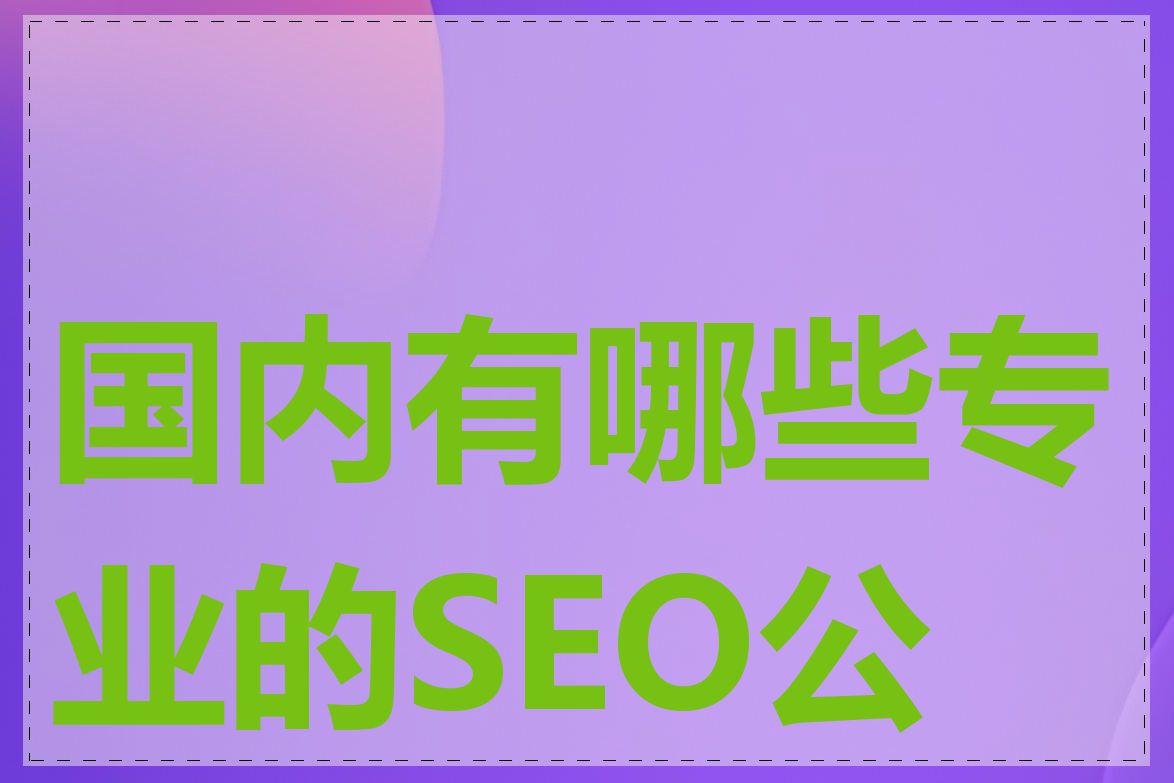 国内有哪些专业的SEO公司