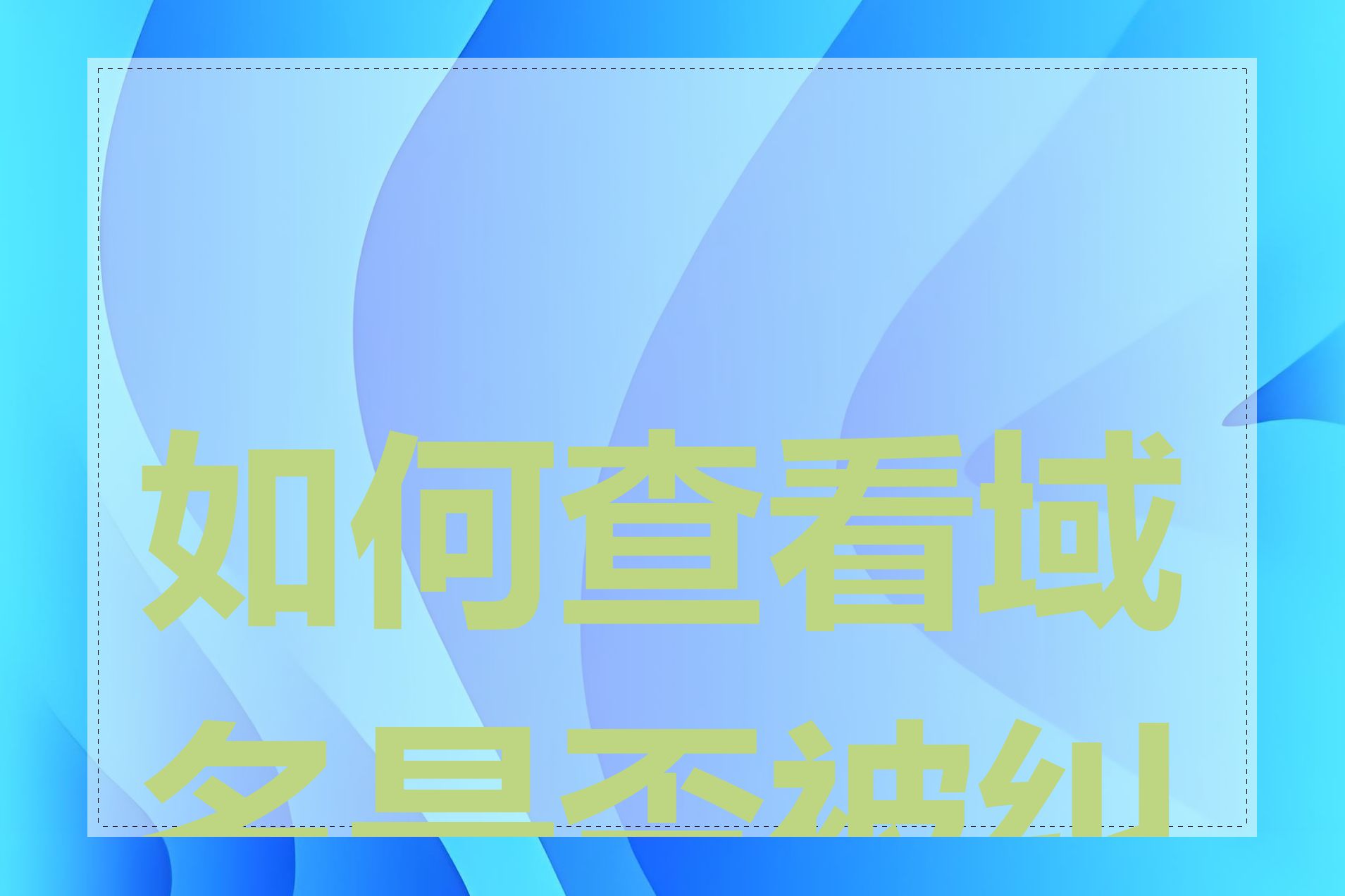 如何查看域名是否被纠错