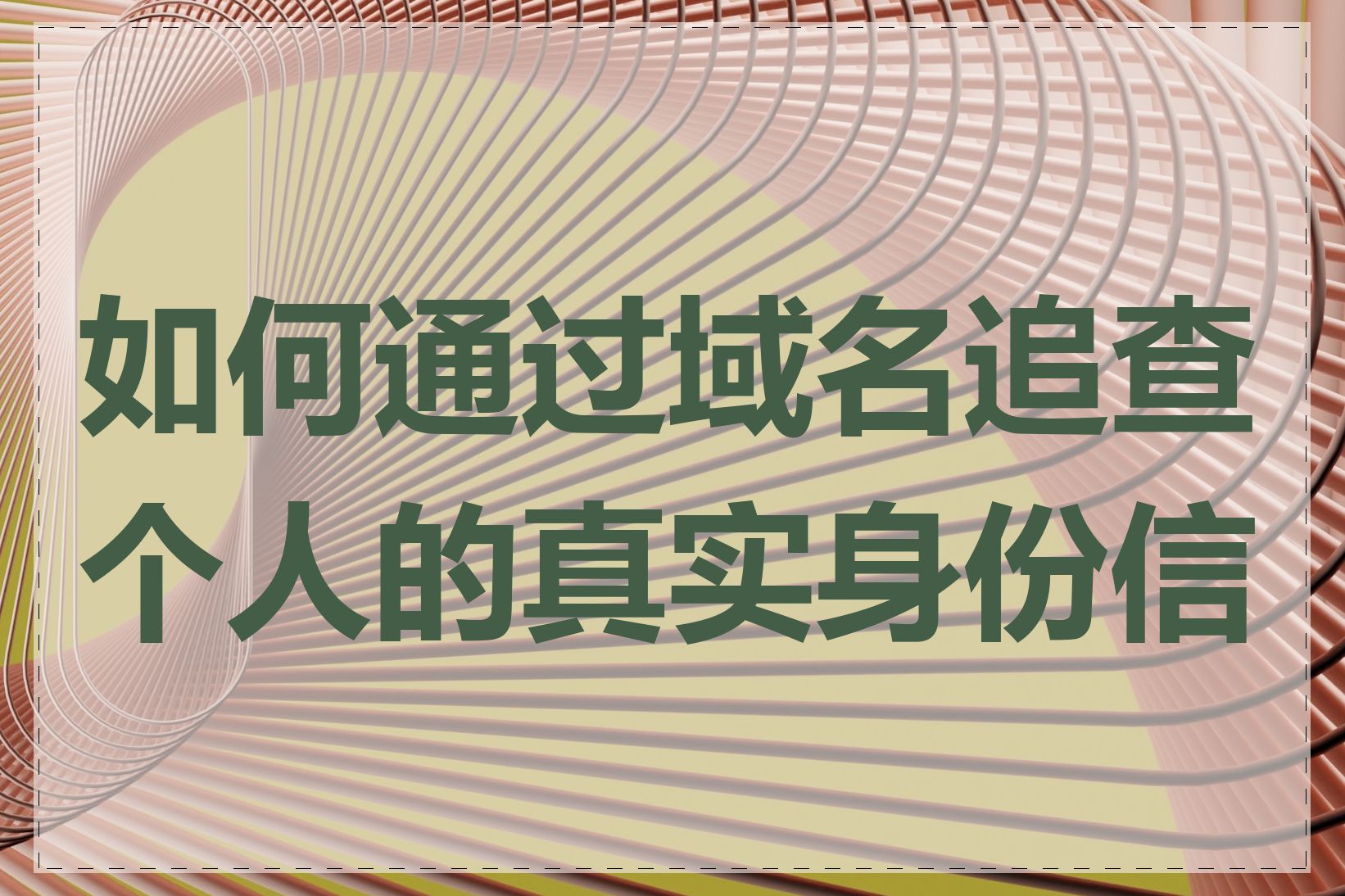 如何通过域名追查个人的真实身份信息