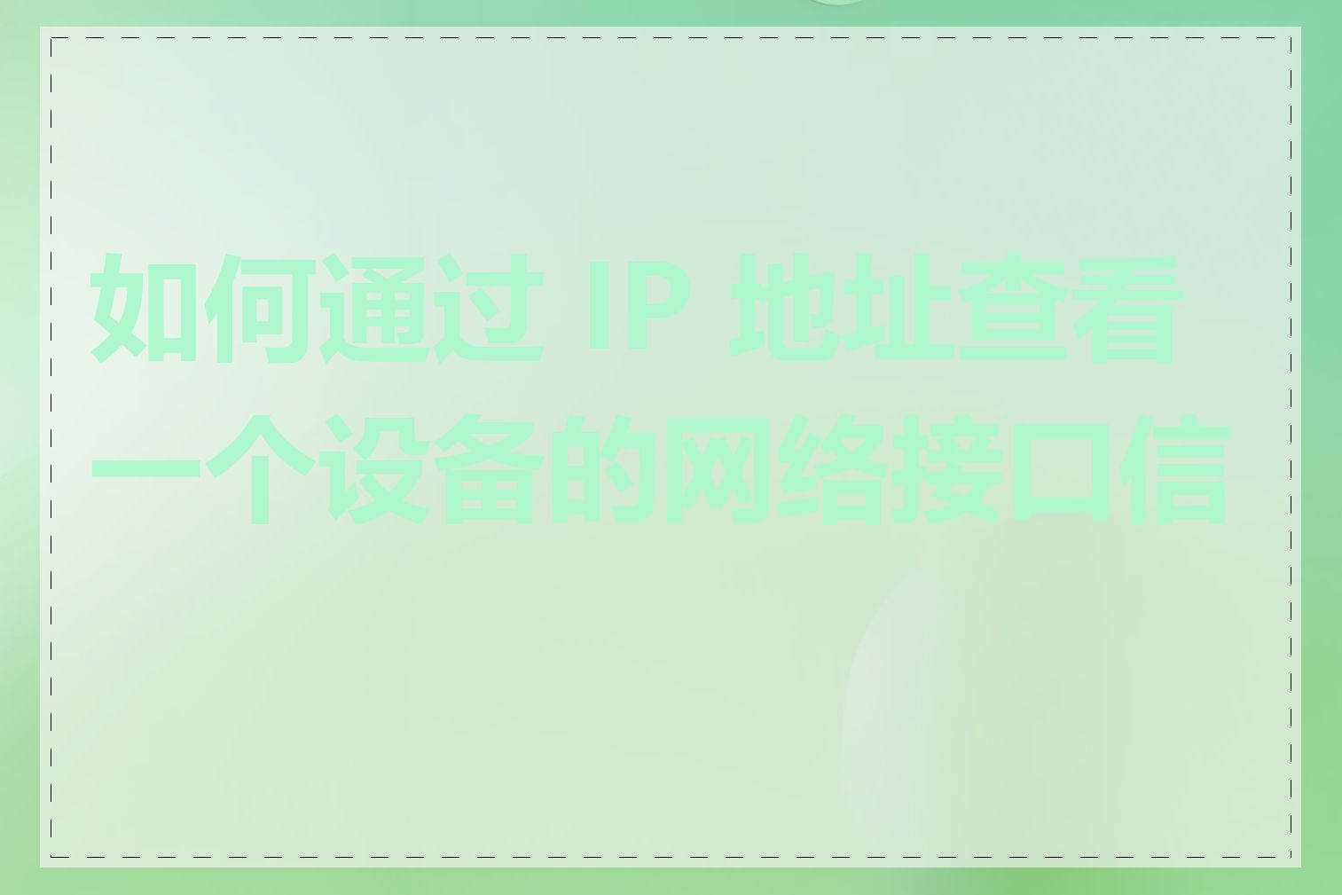 如何通过 IP 地址查看一个设备的网络接口信息