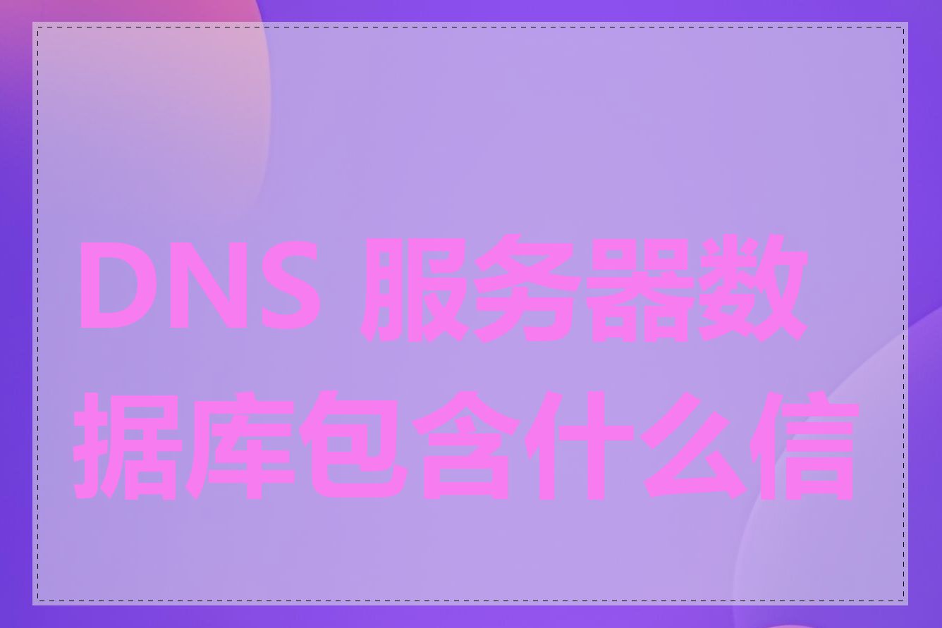 DNS 服务器数据库包含什么信息