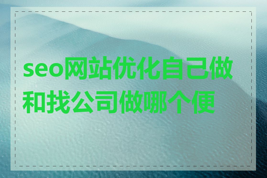 seo网站优化自己做和找公司做哪个便宜