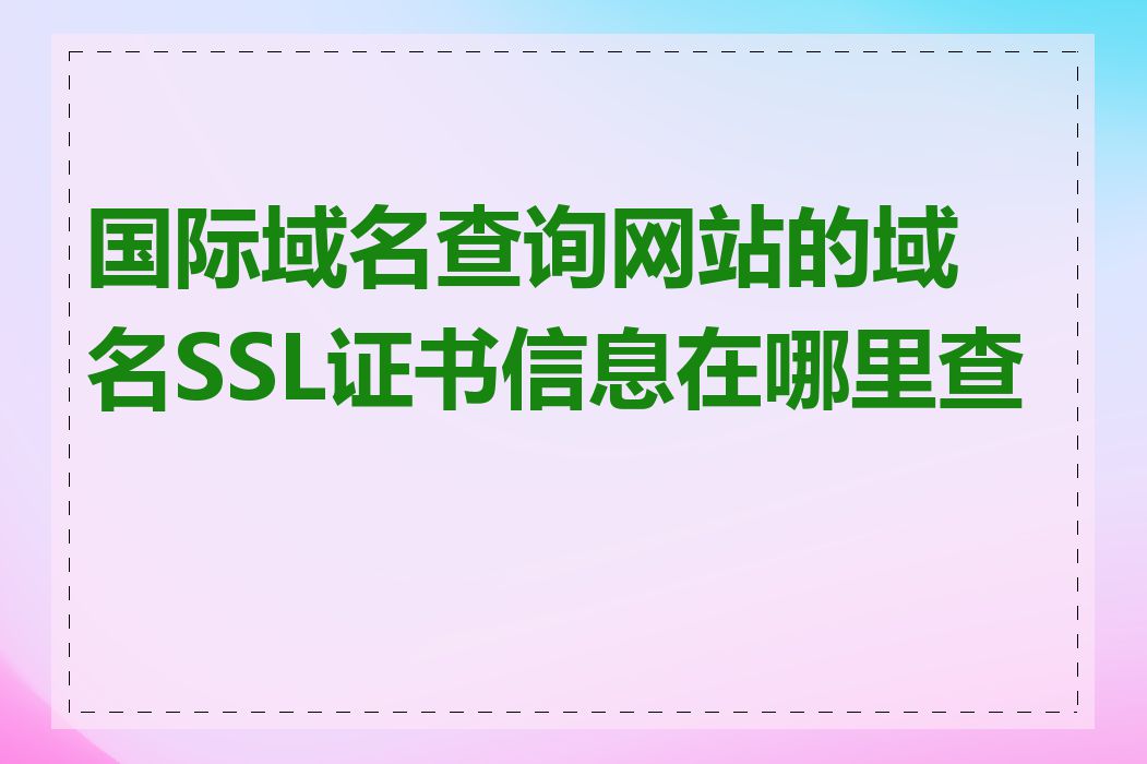 国际域名查询网站的域名SSL证书信息在哪里查看
