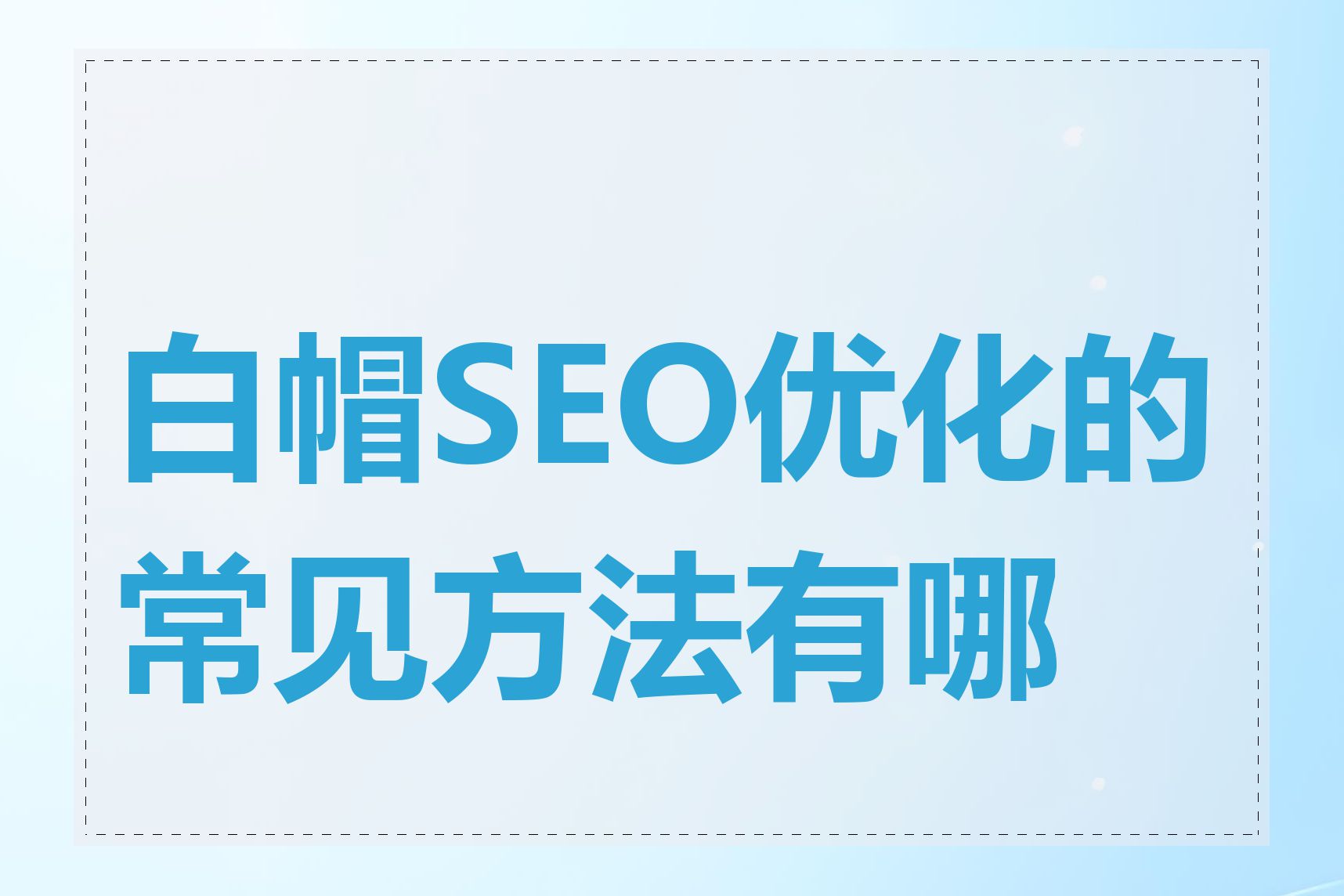 白帽客seo_白帽客运综合服务站（白帽科技有限公司）