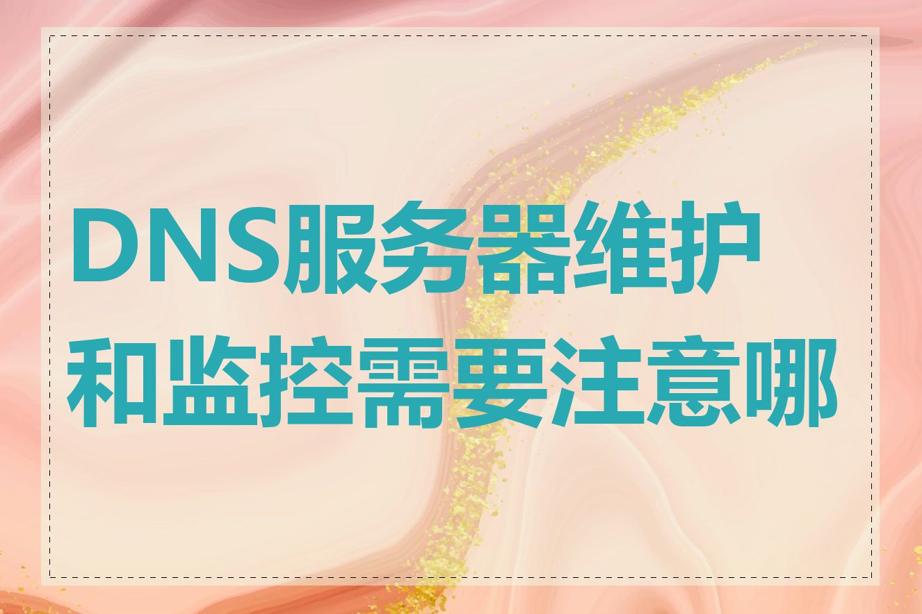 DNS服务器维护和监控需要注意哪些