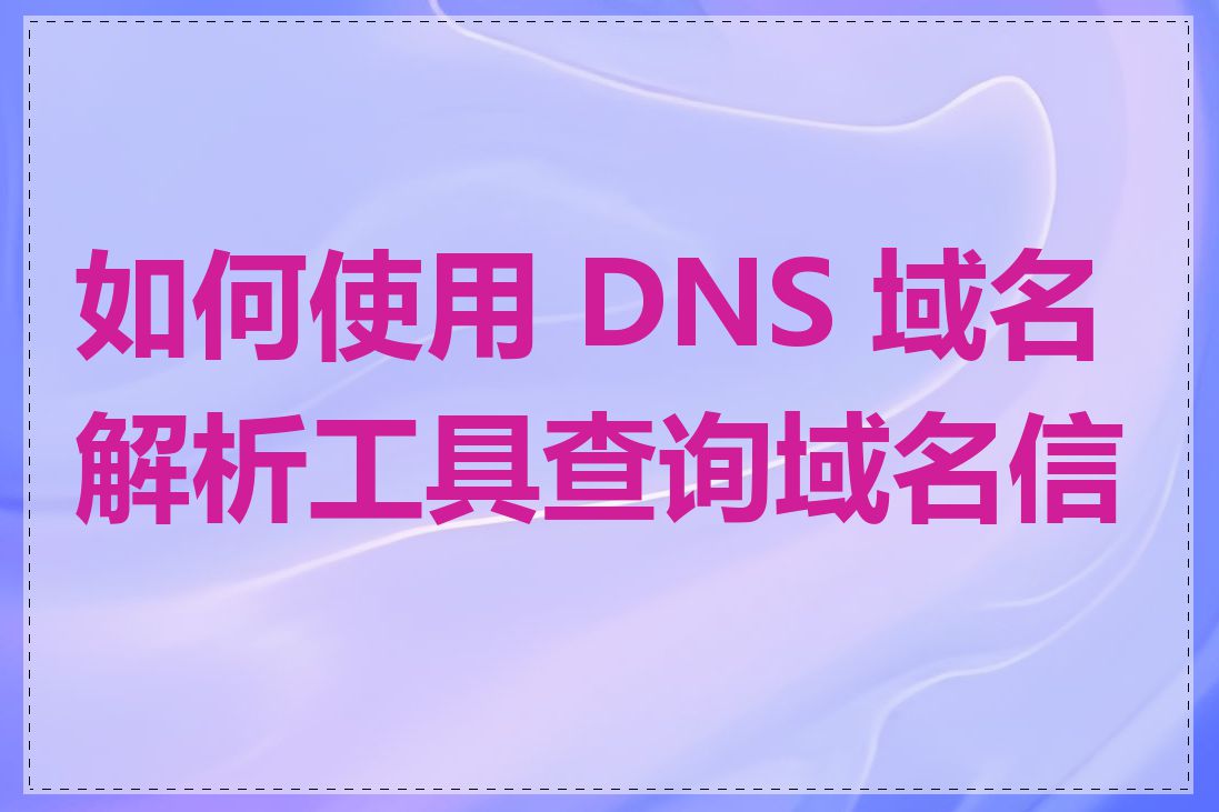 如何使用 DNS 域名解析工具查询域名信息