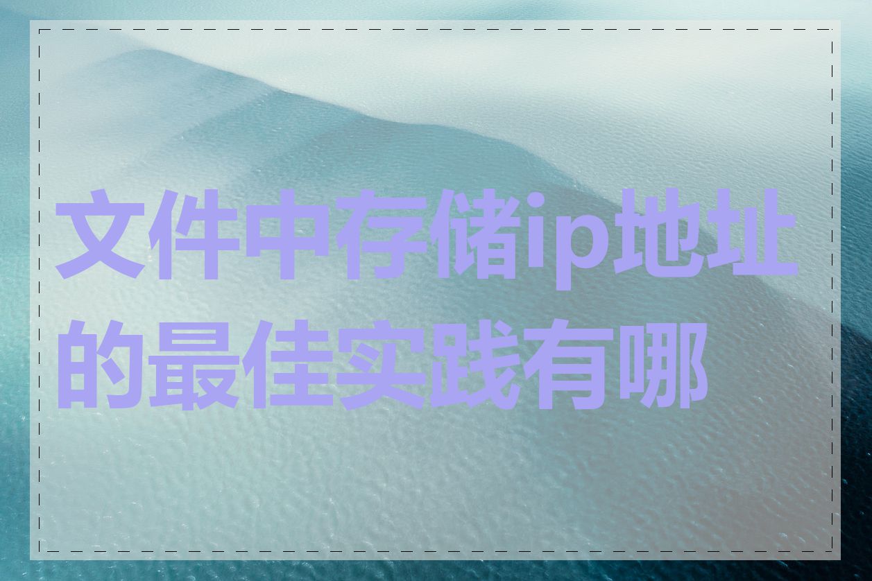 文件中存储ip地址的最佳实践有哪些